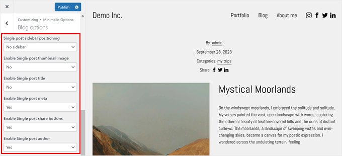 Minimalio's customization options for the single post template