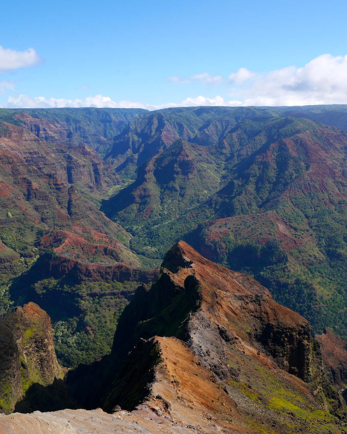 プライド・オブ・アメリカで巡るハワイ4島(オアフ・マウイ・ハワイ・カウアイ)クルーズ旅！