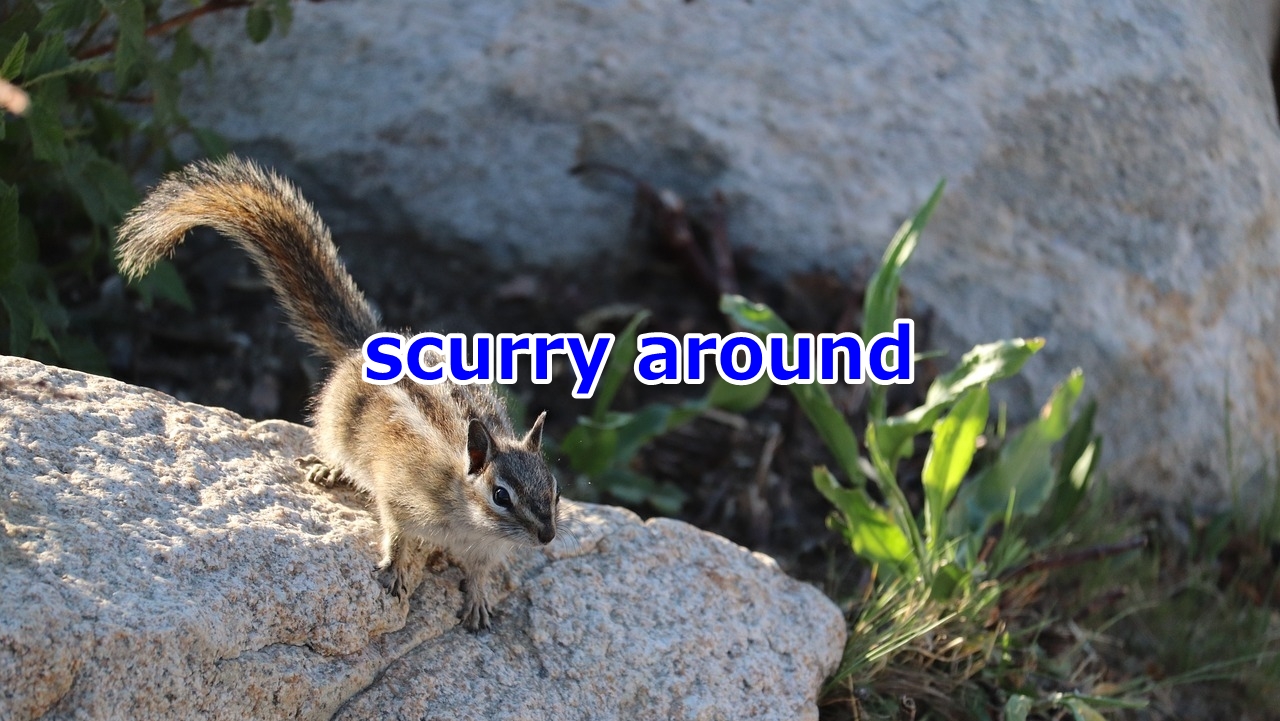 scurry around ちょこちょこ走る、あちこち動き回る