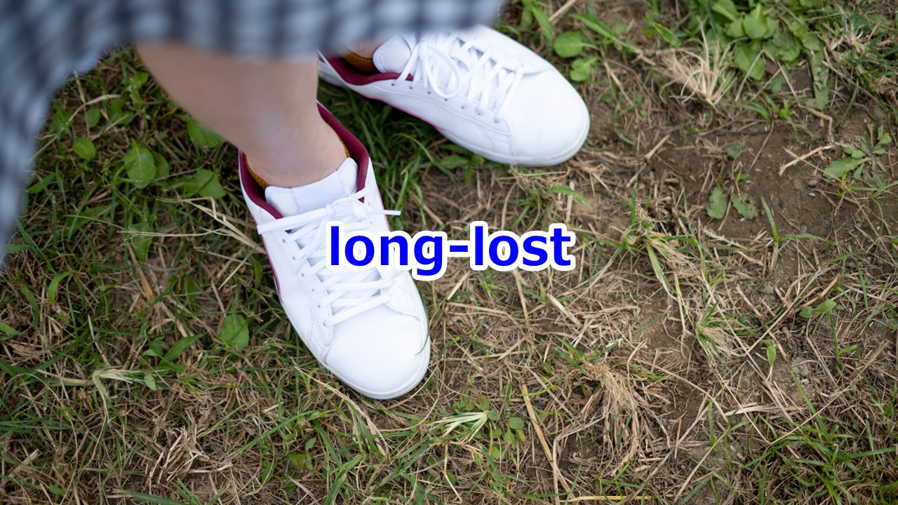 long-lost 長い間音信不通の