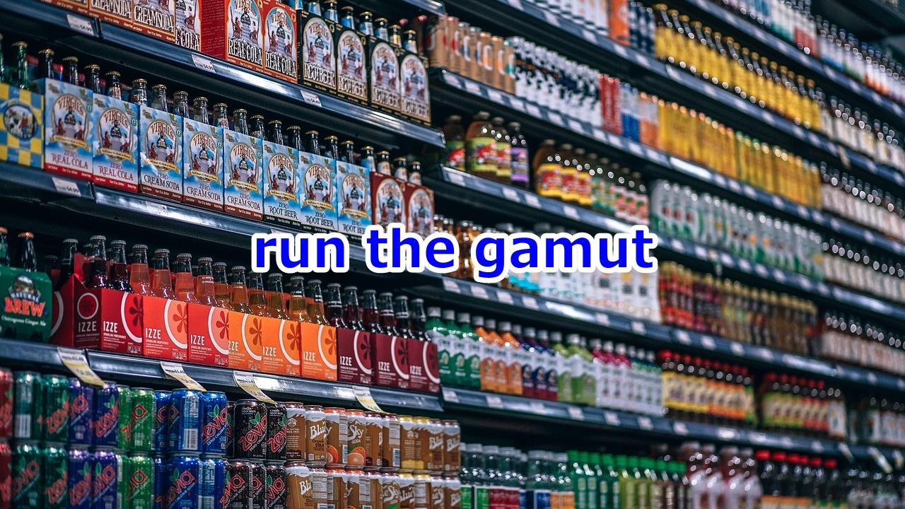 run the gamut 広範囲・全範囲に及ぶ、ピンキリだ