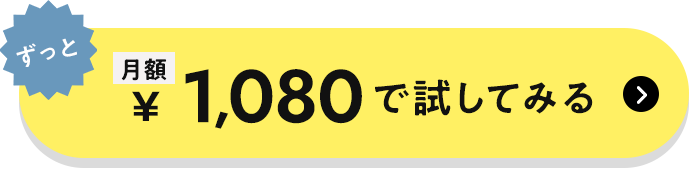 ずっと月額1,080円で試してみる