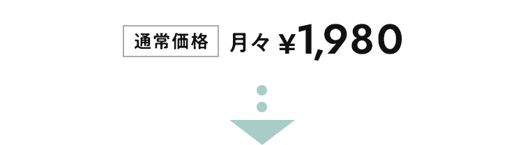 通常価格 月々1,980円