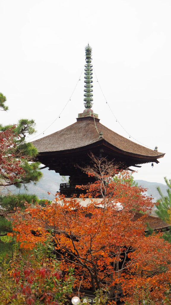 常寂光寺の後ろから見た多宝塔