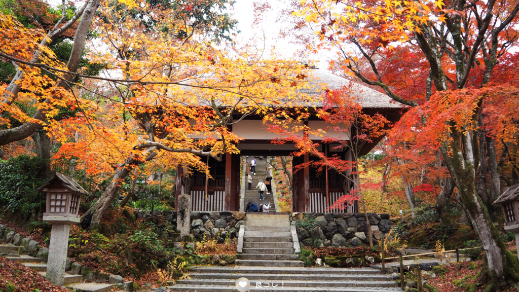 常寂光寺の仁王門