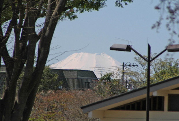 小金井公園_2024.4.10_11.jpg