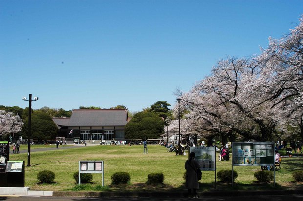 小金井公園_2024.4.10_20.jpg