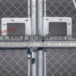 【疼痛抑制メカニズム】運動療法が疼痛減衰に与える効果とは？｜ゲートコントロール理論と下降性疼痛抑制機構