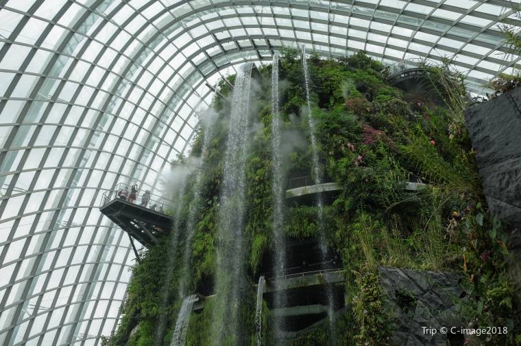 Tips For Exploring Flower Dome