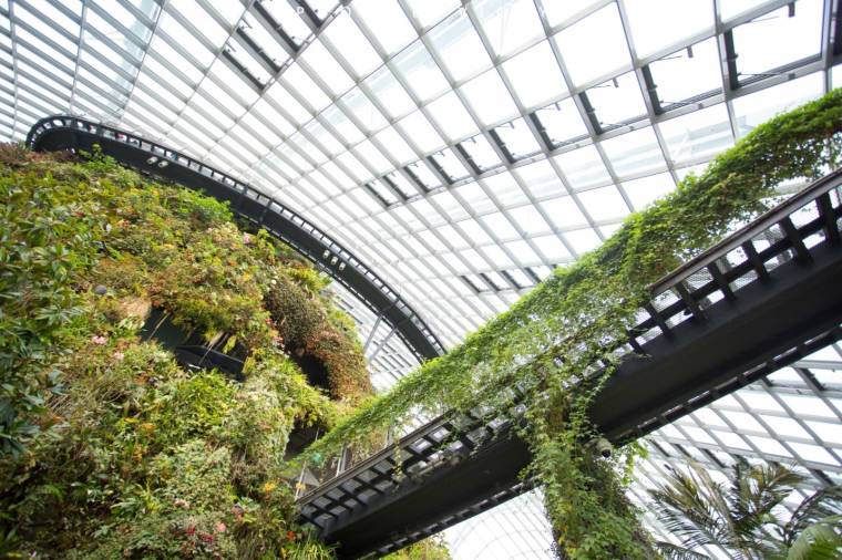 Best Time To Visit Cloud Forest