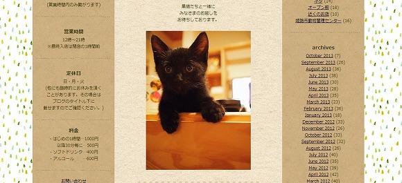 たぶん日本初！ 「黒猫専門」のネコカフェが兵庫県にあるよ / 黒ネコだらけでこりゃたまらんにゃぁ～!!!