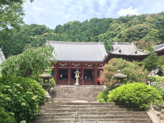 「お寺」と「神社」ってどう見分けるの？ 仏像マニアの視点で4つのポイントを紹介します