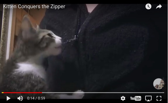 neko-zipper