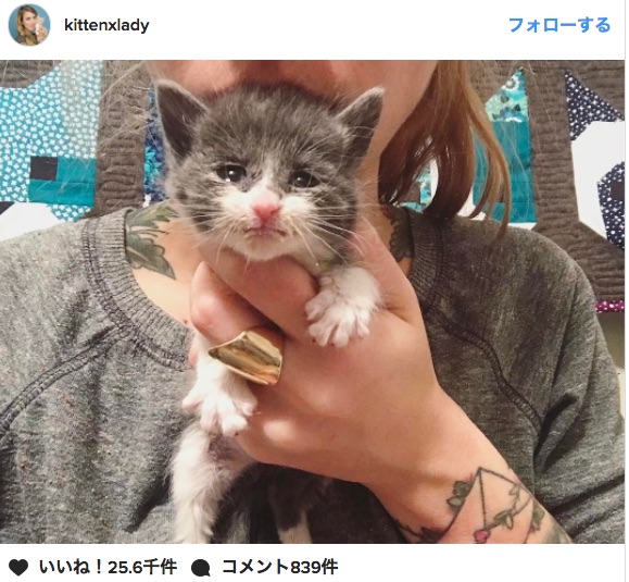 母親に育児放棄された小さすぎる子猫を保護….スタッフの看病で7日後に奇跡的に快復！