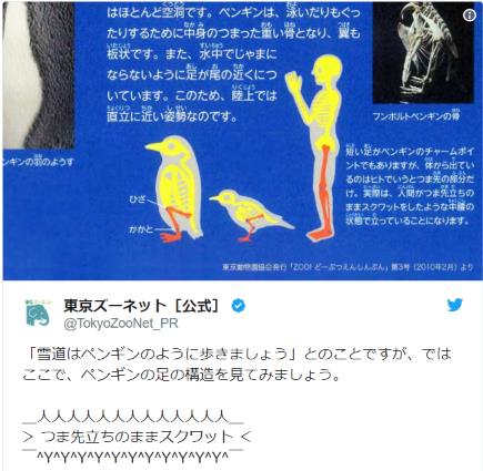 「雪道はペンギンのように歩きましょう」→ 本物のペンギンは「つま先立ちのままスクワット」して歩いていることが判明