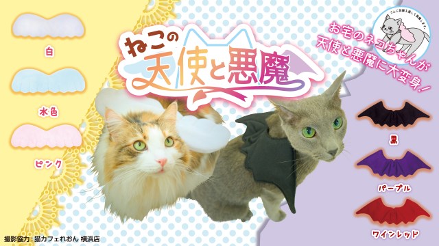 我が家のニャンコが天使と悪魔に大変身しちゃうよ～!! カプセルトイ初の猫コスチュームがたまらんかわいさ♡