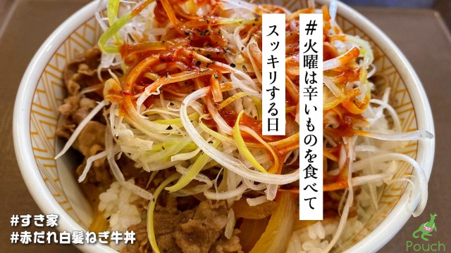 シンプルな辛さ、そこがいい！ すき家「赤だれ白髪ねぎ牛丼」は箸が止まらない【 #火曜は辛いものを食べてスッキリする日 】