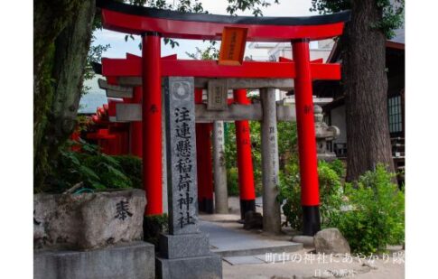 注連懸稲荷神社の鳥居の写真