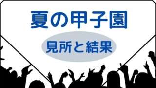 夏の甲子園　見所と結果